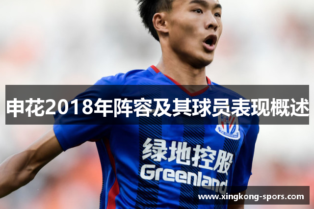 申花2018年阵容及其球员表现概述