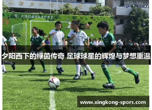 夕阳西下的绿茵传奇 足球球星的辉煌与梦想重温